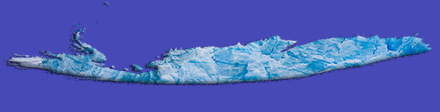 Antartica