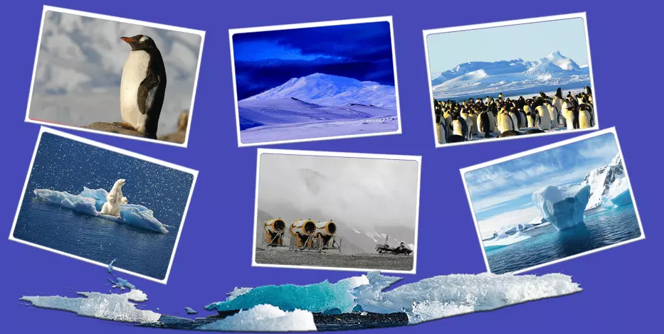Antartica images
