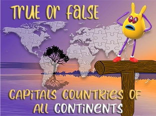World countries capitals True or False Quiz
